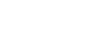 ASV official logo in white displayed on Miniquip website